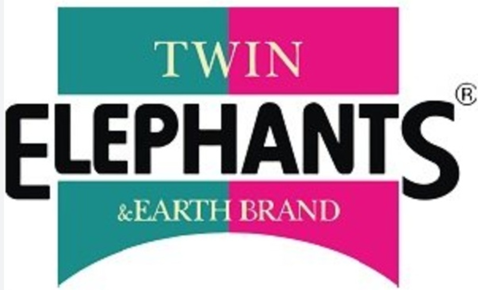 Twin Elephant Earth